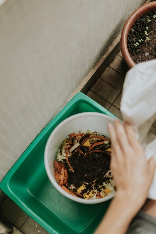 Practical Ways to Reduce Food Waste at Home